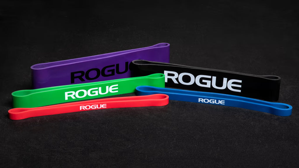 Resistance Bands (12") - ROGUE