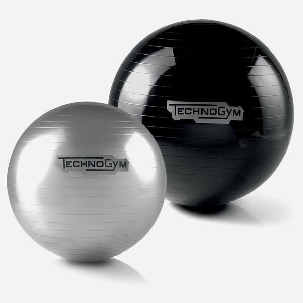 Wellness Ball - TECHNOGYM