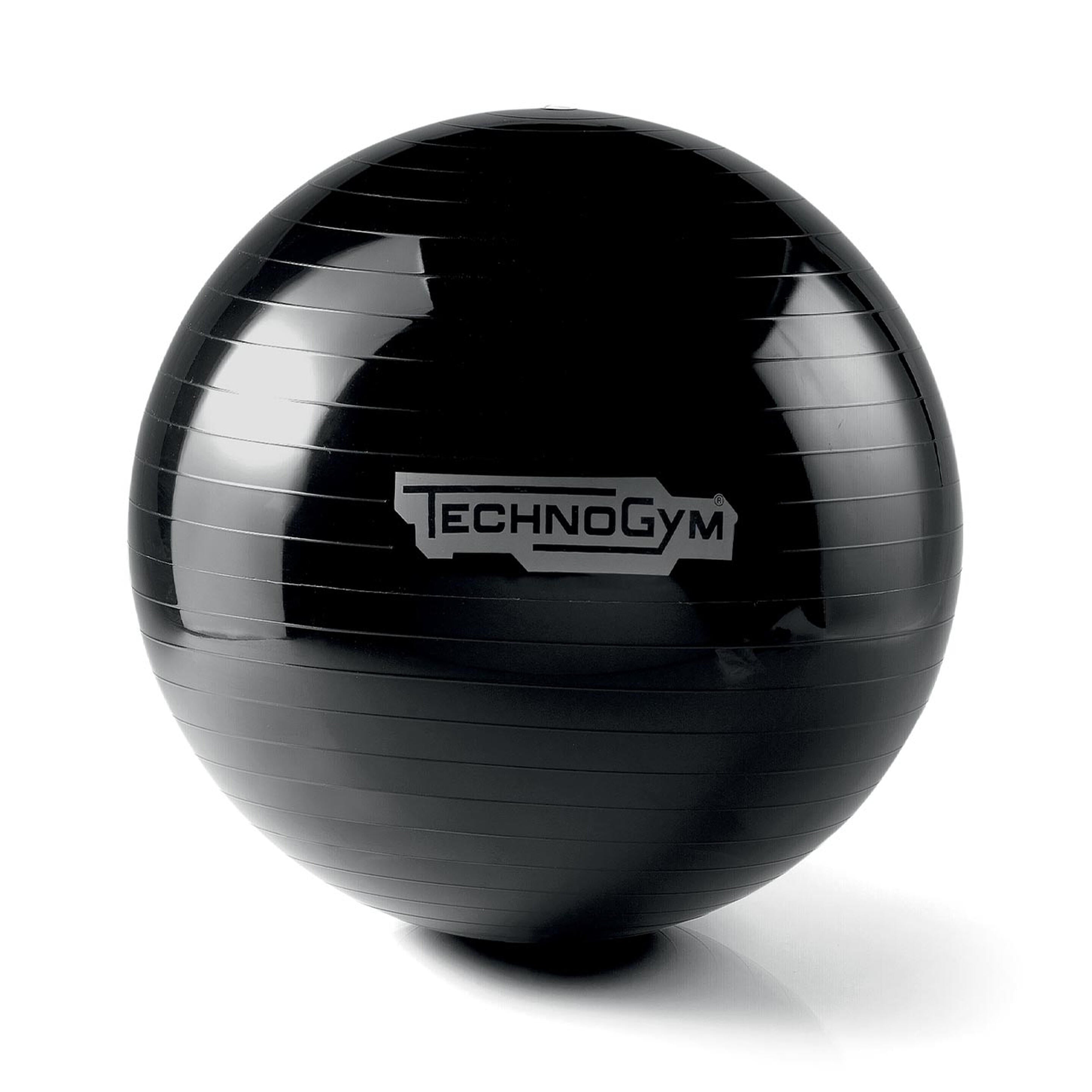 Wellness Ball - TECHNOGYM