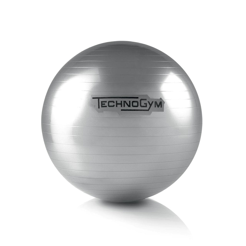 Wellness Ball - TECHNOGYM