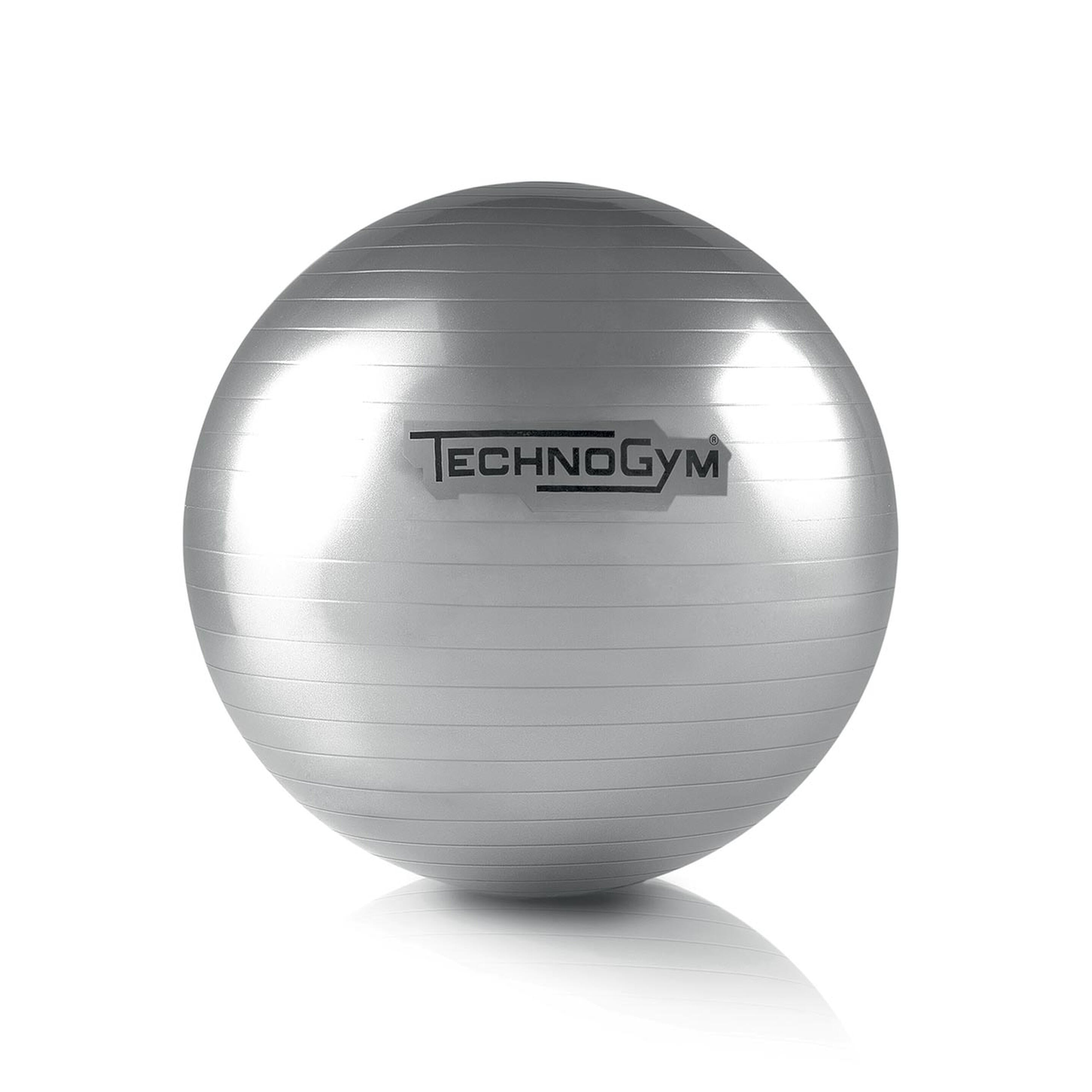 Wellness Ball - TECHNOGYM